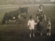 1926 TREMOSINE BRESCIA DONNA BAMBINI MUCCHE COWS VACHES - Altri & Non Classificati