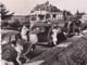 85 Ile De Noirmoutier N°228 L'Entrée Du GOA Ou Gois VOIR ZOOM Car Autocar BUS Ancien Autos Hotchkiss ? Peugeot 402 - Ile De Noirmoutier