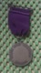 Medaille :Netherlands  -  Airborne Wandeltocht Renkum  / Vintage Medal - Walking Association - Other & Unclassified