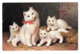 Sperlich Chats Cats Blancs White 1911 Cachet Exposition - Andere & Zonder Classificatie