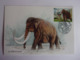 Carte Postale Le Mammouth Animaux Préhistorique La Maison Du Marbre Et De La Géologie à Rinxent Mamut Mammut Mammoth - Préhistoriques