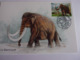 Carte Postale Le Mammouth Animaux Préhistorique La Maison Du Marbre Et De La Géologie à Rinxent Mamut Mammut Mammoth - Préhistoriques