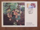 Venda 1983 FDC Postcard - Fruits Litchi - Venda