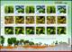 Ref. BR-V2016-18-3 BRAZIL 2016 FRUITS, FRUITS OF CERRADO,, PLANTS, SHEET MNH 18V - Fruits