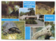 ZOOLOGICAL GARDEN ZOO, OSIJEK CROATIA - Other & Unclassified