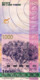 CAPE VERDE 1000 ESCUDOS FROM 2007,  P70, UNC - Capo Verde