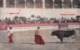 GIBRALTAR - BULL FIGHTING - PASANDO DE MUITA ~ AN OLD POSTCARD #969111 - Gibraltar