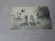 Illustrateur ( 1474 )   Pas Signée  - Carte Genre Viennoise -  Chiens De Chasse  Chien  Honden  Hond  Jacht - 1900-1949