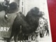 ENFANT SUR UN CHAMEAU DANS UNE COUR DE RÉCRÉATION ÉCOLE DE BELGIQUE  UNE  PHOTO ORIGINAL - Anonieme Personen