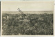 Werder - Baumblüte - Panorama 30er Jahre - Foto-Ansichtskarte - Verlag Conrad Junga Berlin - Werder