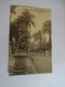 Cpa - (83) - Hyères Les Palmiers - Avenue De Belgique - 1920 - Hyeres