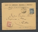 1894 Env. Avec Taxe 30c Saumon N°90 Superbe X5107 - 1859-1959 Covers & Documents