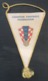 HNS CROATIAN FOOTBALL FEDERATION PENNANT CROATIA FRANCE 98 COUPE DU MONDE OLD PENNANT, SPORTS FLAG - Apparel, Souvenirs & Other