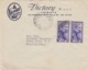 449 -  - STORIA POSTALE - BUSTA PUBBLICITARIA "VICTORY AMERICAN DDT" - DUE VALORI DA 20 Lire AMG-FTT - TRIESTE - 1946-60: Marcophilie