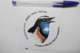 Autocollant Stickers - Thème OISEAUX - ETUDE Et PROTECTION Des OISEAUX / Groupe De Travail AVES MONS TOURNAI - Autocollants