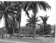 Photo R. Centrafricaine. Village De Loko, Près De La Frontière Du Congo Années 1980  Photo Vivant Univers - Afrika