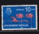 Dutch Antilles 1973, Nvphnr 468, Birds, Flamingos, Vfu. Cv 6,50 Euro - Niederländische Antillen, Curaçao, Aruba