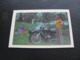USSR Soviet Russia Pocket Calendar Sidecar Motorcycle Girl Bike 1976 - Small : 1971-80