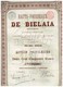 Delcampe - Lot De 3 Titres: 1 Charbonnages De Biélaïa 1895 -  2 Hauts Fourneaux De Bélaïa (action Ordinaire Et Privilégiée) 1899 - Rusia