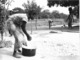 Photo R. Centrafricaine. Région De Bossembélé Séchage Du Manioc 1980  Photo Vivant Univers - Afrika