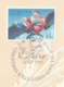 CHRISTMAS ISLAND/AUSTRALIA 1995 Christmas: Promotional Card CANCELLED - Christmas Island