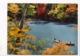 JAPAN, Probably KYOTO, Men In Boat On River, Unused Postcard [23630] - Kyoto