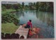 DAVAO CITY, INIGO FARM, PHILIPPINES - A Fishpond Of Large Fold-scaled Friendly Gurami Fishes - Vg - Filippine