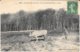 44 - LE GAVRE - 1175 - Sur La Lisière De La Forêt Du Gavre - Attelage - Agriculture - Circulé 1913 - - Le Gavre