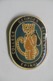 Pin's - Collège Georges Clémenceau à EPINAL 88 VOSGES - CHAT Roux Tigré - Enseignement école Lycée Collège - Administration