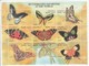 1997 Eritrea Butterflies Papillons Complete Set Of 22 (4 Stamps + 2 Sheets Of 9) MNH - Eritrea