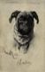 CPA AK Biberach A. D. Riss - Prof. A. Braith-Museum - Dog GERMANY (912972) - Biberach