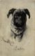 CPA AK Biberach A. D. Riss - Prof. A. Braith-Museum - Dog GERMANY (912980) - Biberach