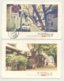 2 Postcards, China, Beijing's Hutongs  (2 Scans) - Chine