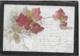 AK 0340  Herbstlaub Idylle - Lithographie Um 1901 - Blumen