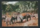 Cpm "  Kenya (Nairobi ) Elephants Bathing   Affranchie En 1961 - Raa 3618 - Kenya, Uganda & Tanganyika