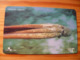 Phonecard Croatia - Sea Life - Kroatien