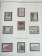 Delcampe - Lot N° TH.1041 BELGIQUE Collection Moderne   Neufs ** - Collections (en Albums)