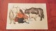 China. Tibet. Native People  - Young  Woman - Cow / Old Postcard 1950s - Tibet