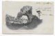 1902 - AFFR. TYPE BLANC Sur CARTE De MILLAU (AVEYRON) => ST ROME DE CERNON Avec TAXE DUVAL (7 MOTS AU LIEU De 5 !) - 1900-29 Blanc