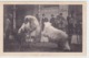 Eisbären-Dompteur Richard Rössler       (191016) - Zirkus