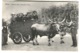 Siena Costumi Della Campagna Senese FAMIGLIA Di 8 VIAGGIANDO In Un Barroccio Tirato Da Bue C. 1908 - Siena