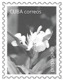 CUBA -  (PAP) Entier Postaux - Mother'a Day - Cuba - Mother's Day