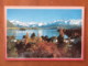 New Zealand 2000 Postcard "Lake Wanaka - Mountains" To Holland - Rutherford - Atom Physics - Brieven En Documenten