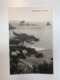 Asia Japan Japanese Card Island Sea Rock View Shore Tree 11473 Post Card Postkarte POSTCARD - Andere & Zonder Classificatie