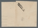 Italien: 1878-1879, Newspaper Stamps On Covers: 2 Centesimi On 0.02 On Wrapper Of The National Bank - Mint/hinged