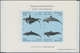 Thematik: Tiere-Meeressäuger (u.a. Wale) / Animals-aquatic Mammals: 1992/1994, MONACO: Whales And Do - Sonstige & Ohne Zuordnung