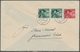 Deutsches Reich - 3. Reich: 1938, Volksabstimmung, Kplt. Satz Mit 2x 6 Pf. Auf Adressiertem FDC Vom - Covers & Documents