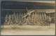 Delcampe - Feldpost 1. Weltkrieg: 1914/18 FLIEGENDE EINHEITEN/FLIEGEREI. Konvolut Von 10 Gut Erhaltenen Karten, - Other & Unclassified