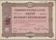 Alte Aktien / Wertpapiere: 1925-1936, Zwei Attraktive Aktien: 1000 RM I.G. Farben 1925 Und 100 RM No - Sonstige & Ohne Zuordnung