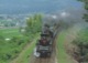 Train - No.YAMAGUCHI Of C57 Type, Japan's Steam Locomotive At Tsuwano-Cho - Eisenbahnen